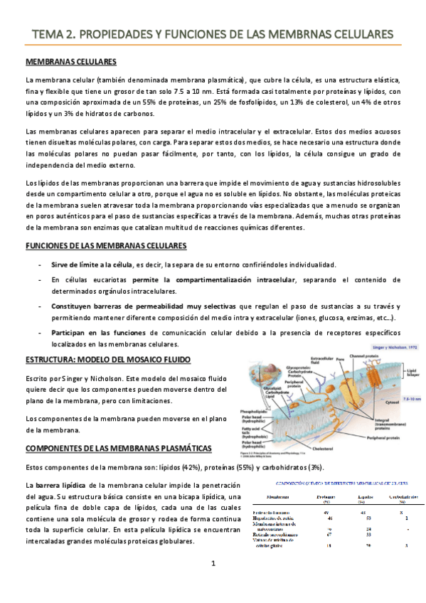 Miniatura del documento TEMA 2. Propiedades y funciones de las membranas celulares.pdf