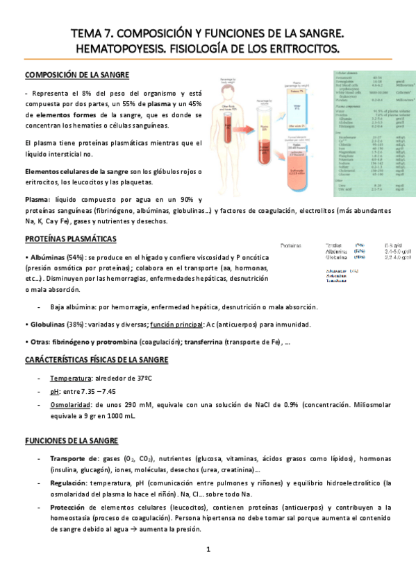 Miniatura del documento TEMA 7. Composición y funciones de la sangre. Hematopoyesis. Fisiología de los eritrocitos.pdf