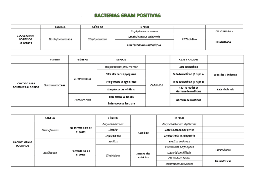 Miniatura del documento BACTERIAS.pdf