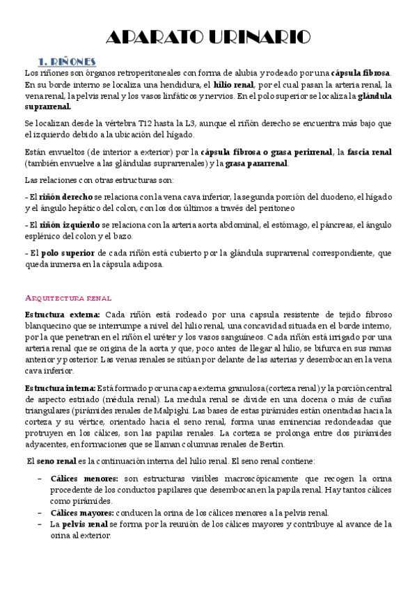 Miniatura del documento Aparato-Urinario-Teoria.pdf