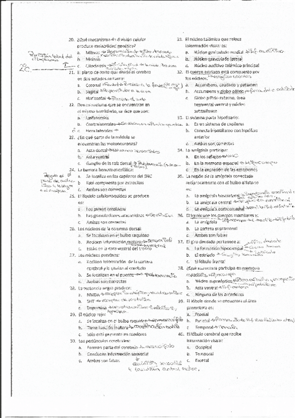 Miniatura del documento examen fundamentos 2.pdf