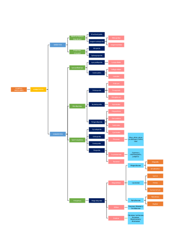 Miniatura del documento Clasificacion.pdf