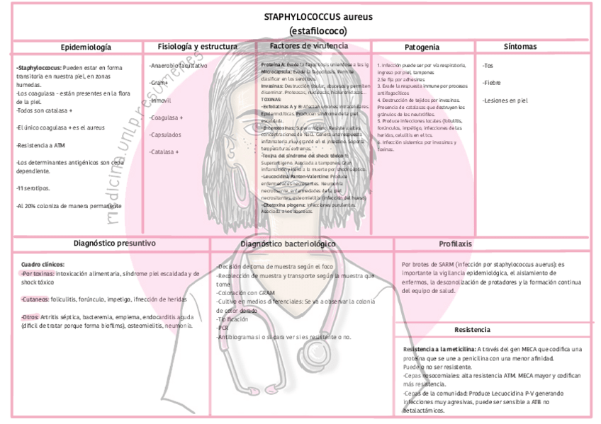 Miniatura del documento BACTERIAS-QUE-PRODUCEN-INFECCIONES-LOCALES-Y-SISTEMICASwatermark.pdf