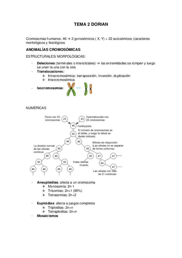 Miniatura del documento TEMA-2-Doria.pdf