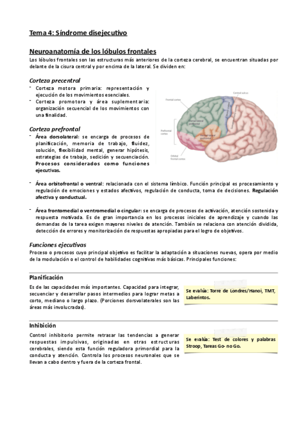 Miniatura del documento Tema-4-Sindrome-disejecutivo.pdf
