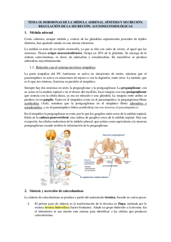Miniatura del documento TEMA-18-HORMONAS-DE-LA-MEDULA-ADRENAL.pdf
