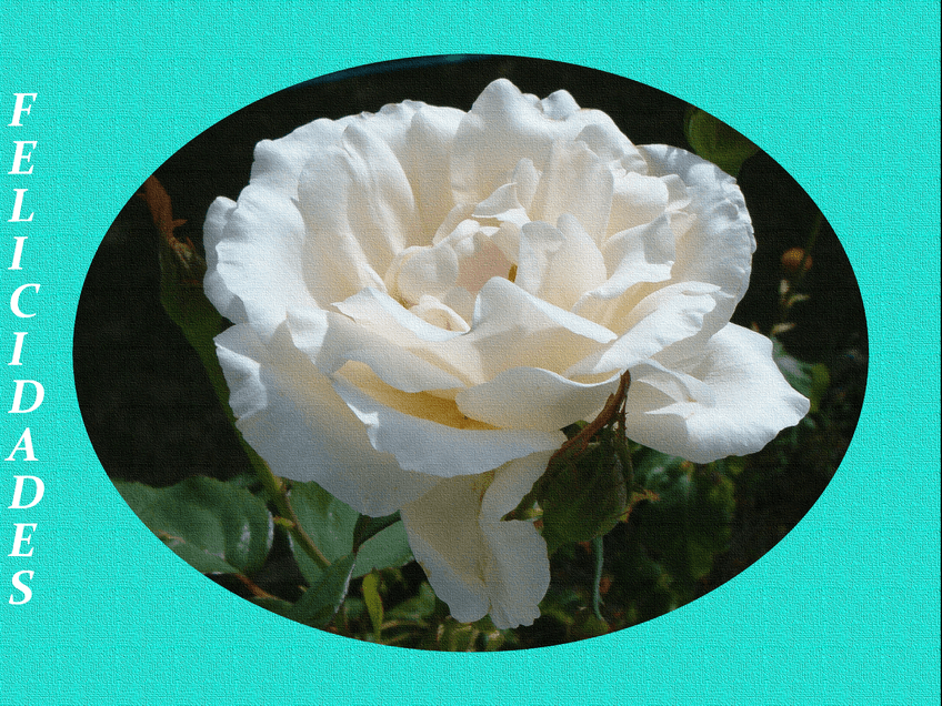 Miniatura del documento Tarjeta-de-felicitacion.jpg