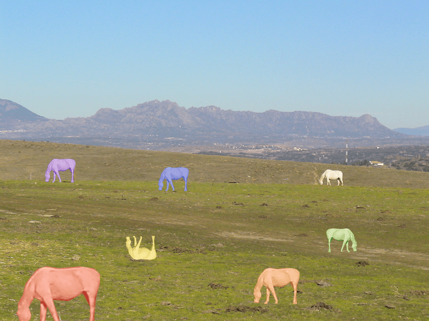 Miniatura del documento Mis-caballos-fantasticos.jpg