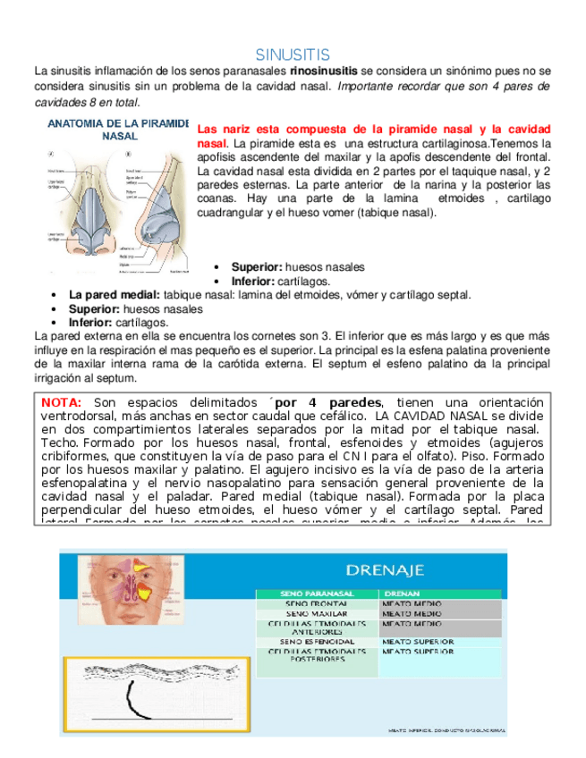 Miniatura del documento SINUSITIS-2019-II.docx