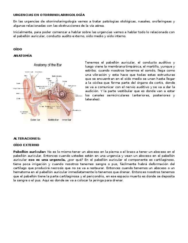 Miniatura del documento URGENCIAS-EN-OTORRINOLARINGOLOGIA-2018-II.docx