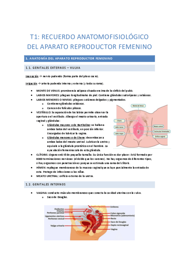 Miniatura del documento 1.pdf
