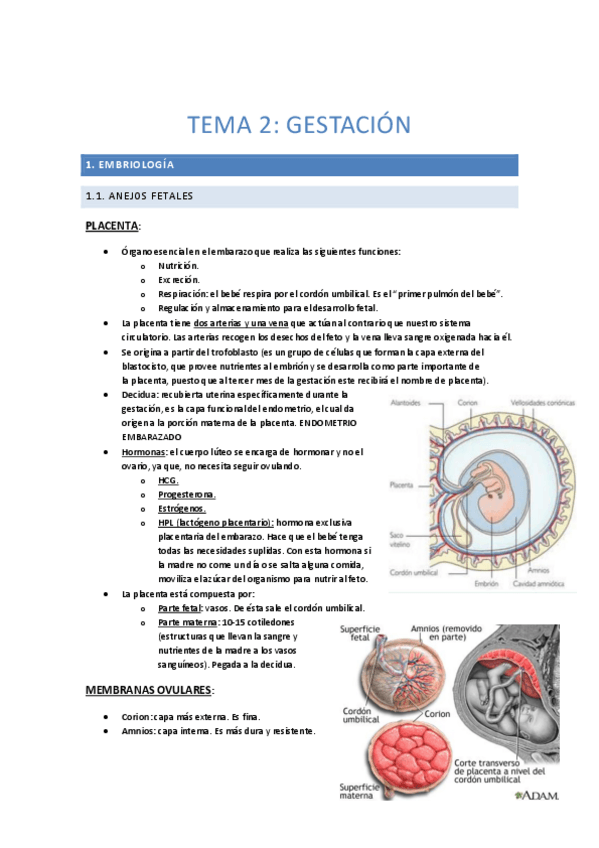 Miniatura del documento 2.pdf