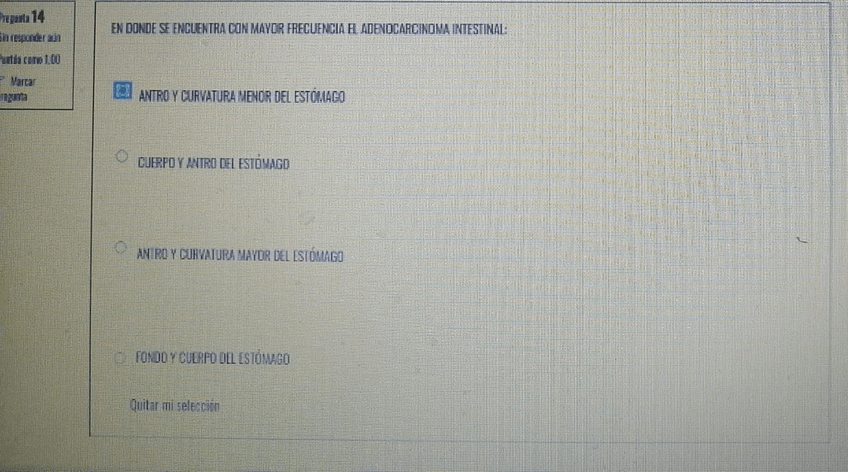 Miniatura del documento IMG-20211202-WA0064.jpg