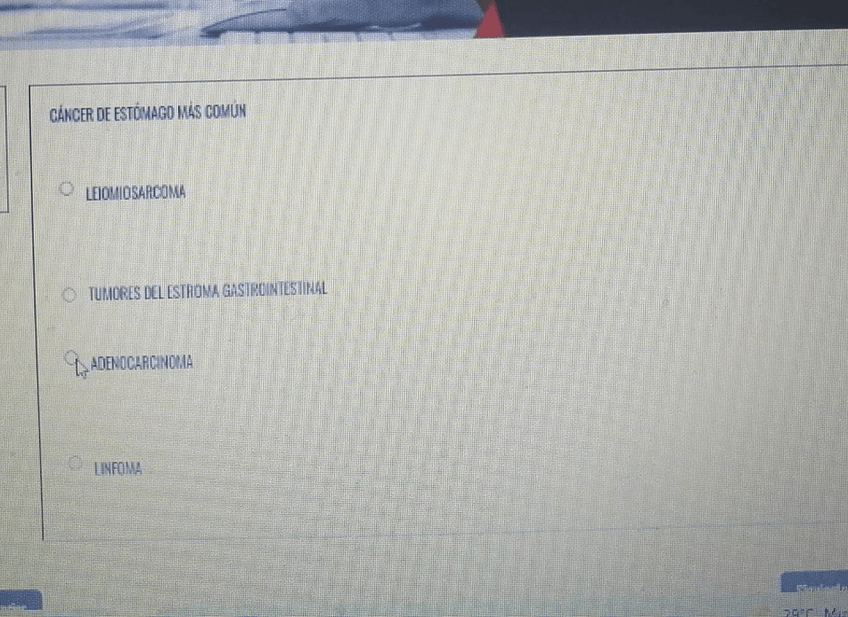 Miniatura del documento IMG-20211202-WA0062.jpg