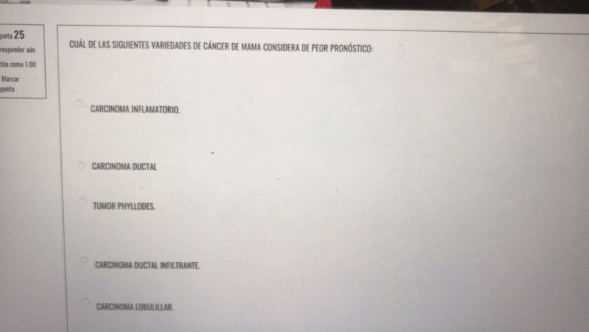 Miniatura del documento IMG-20211202-WA0076.jpg