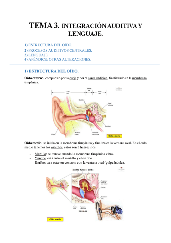 Miniatura del documento TEMA 3. Integración auditiva y lenguaje..pdf