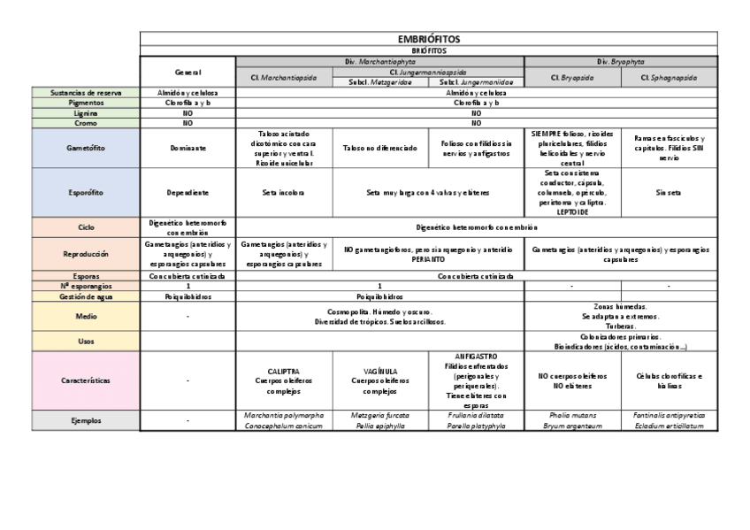 Miniatura del documento Tabla-botanica-plantas-vasculares.pdf