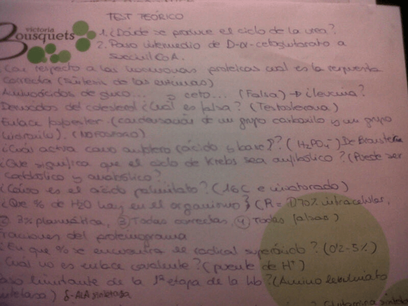 Miniatura del documento image.jpeg