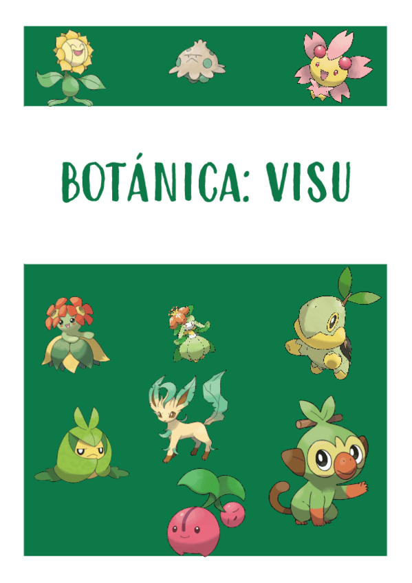 Miniatura del documento VISU.pdf