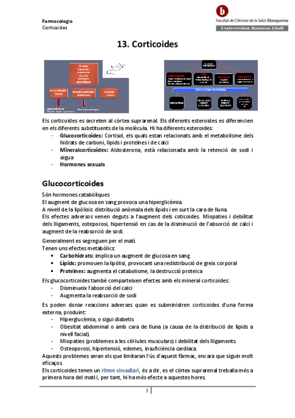 Miniatura del documento 13-Corticoides.pdf