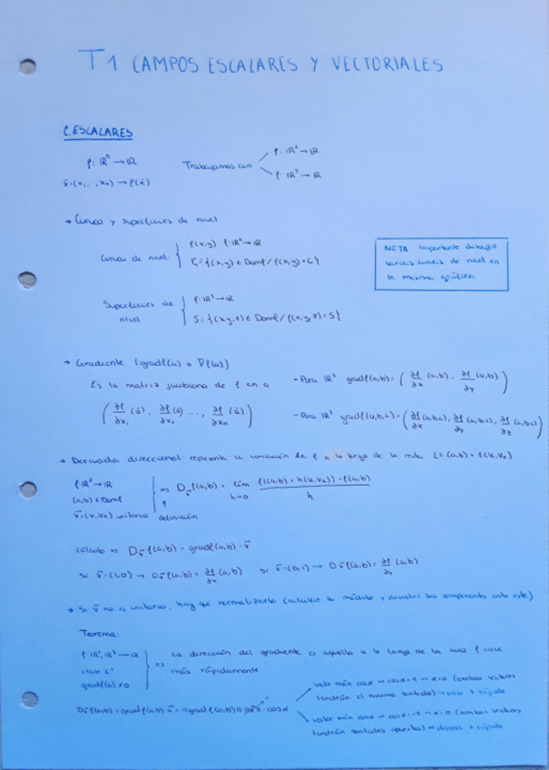 Miniatura del documento T1-CAMPOS-ESCALARES-Y-VECTORIALES.pdf