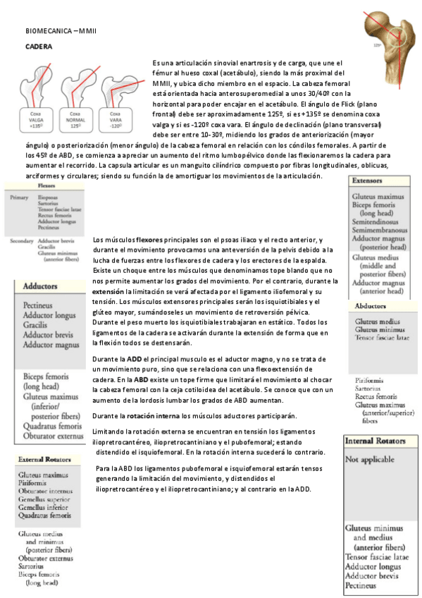 Miniatura del documento BIOMECANICA-MMII.pdf
