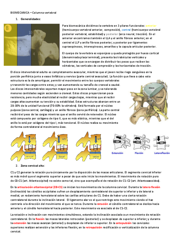 Miniatura del documento BIOMECANICA-Columna-vertebral.pdf