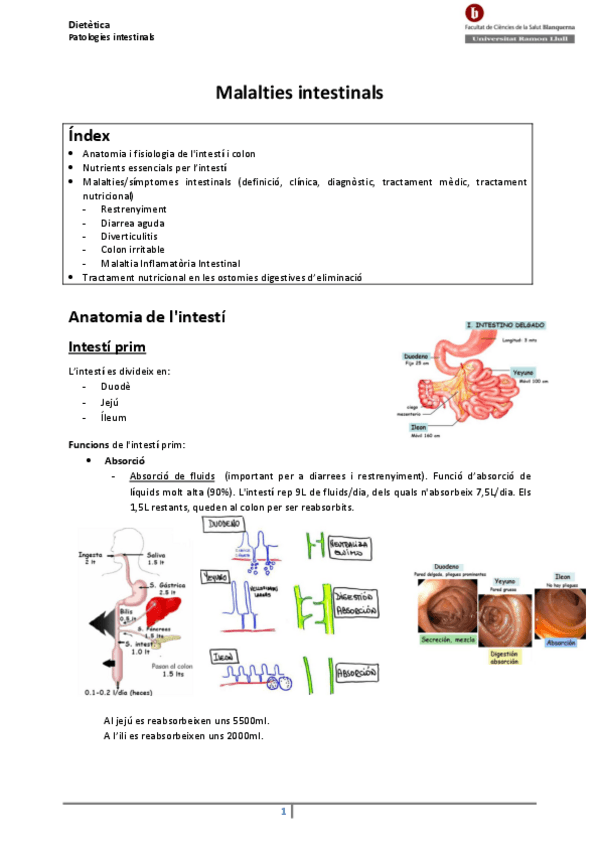 Miniatura del documento 10-Malalties-intestinals.pdf
