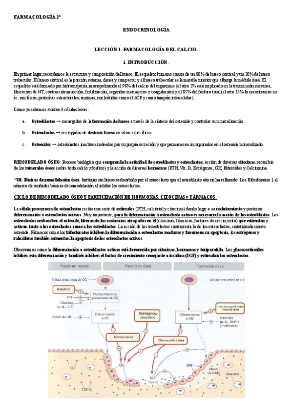 Miniatura del documento Full-Endocrino.pdf
