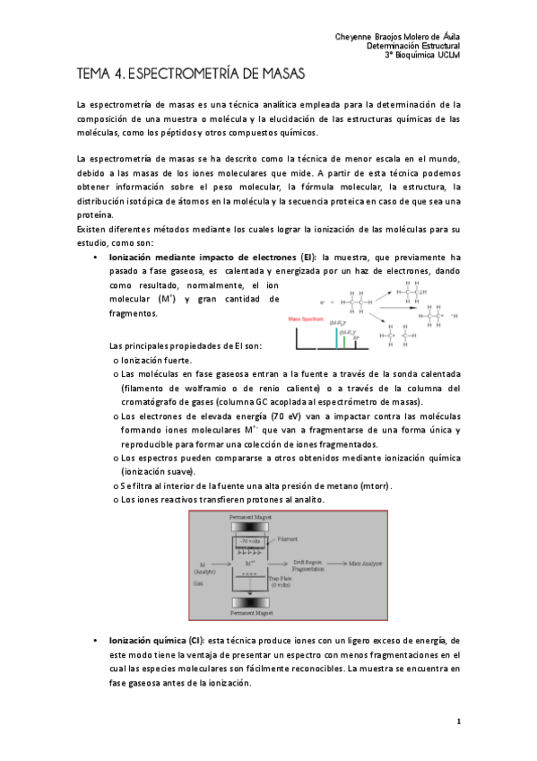 Miniatura del documento masas final.pdf