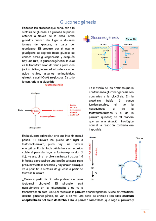 Miniatura del documento tema-7.pdf