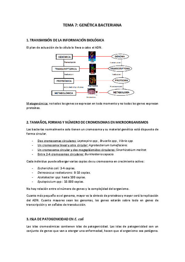 Miniatura del documento Tema-7.pdf
