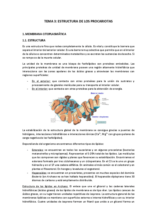 Miniatura del documento Tema-3.pdf