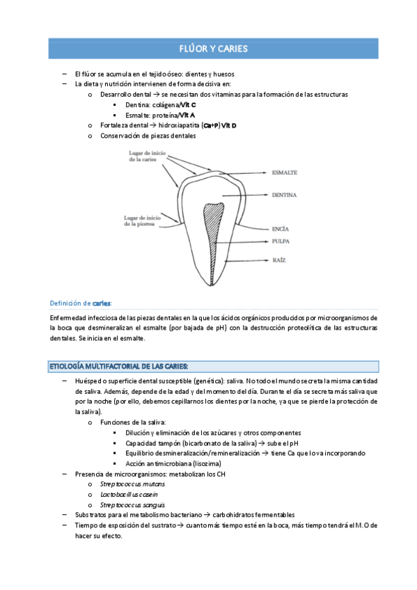 Miniatura del documento FLUOR-Y-CARIES.pdf