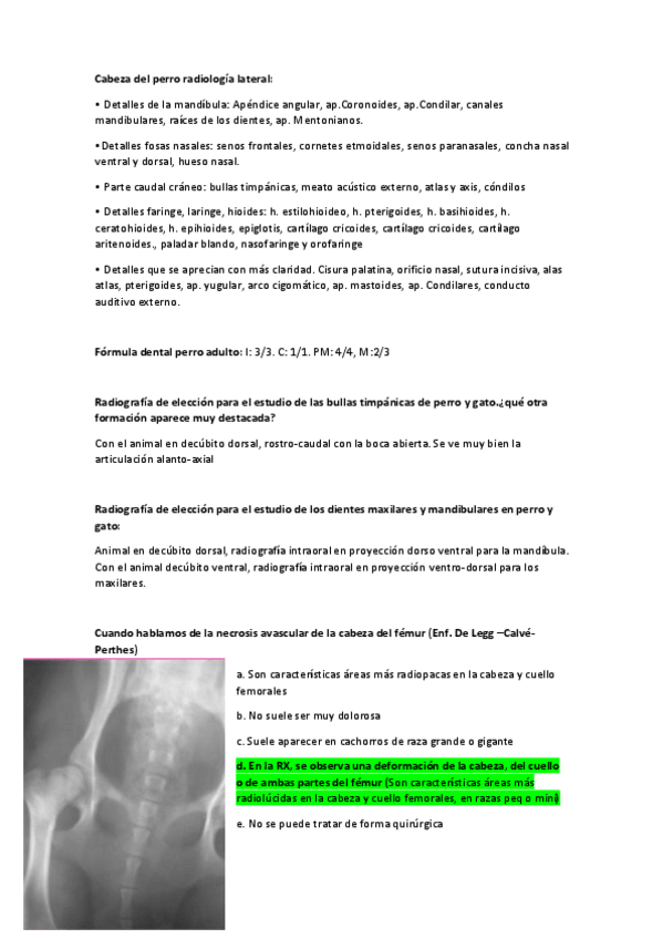 Miniatura del documento BUENAS-QUINIELAS-DPI.pdf