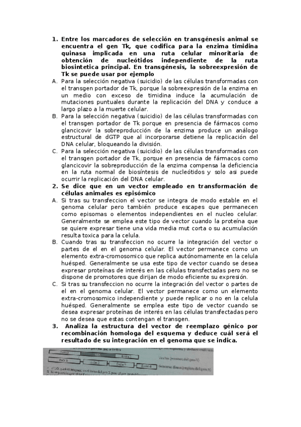 Miniatura del documento examen primera parte Test Fenoll.docx