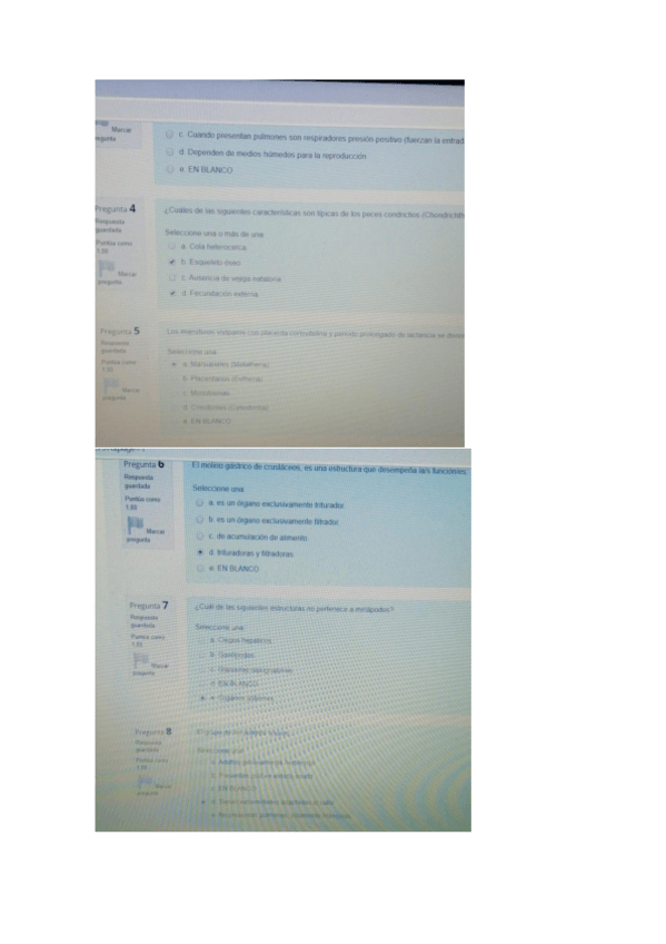 Miniatura del documento exzoo2020.pdf