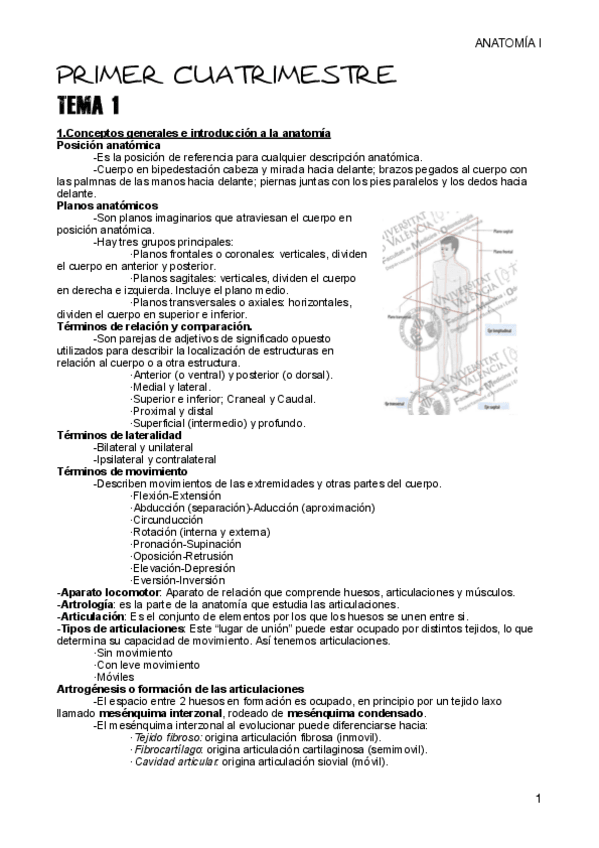 Miniatura del documento Anatomía 1 entera .pdf