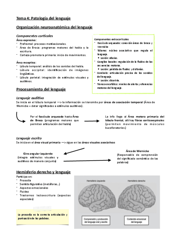 Miniatura del documento Tema-4-Patologia-del-lenguaje.pdf