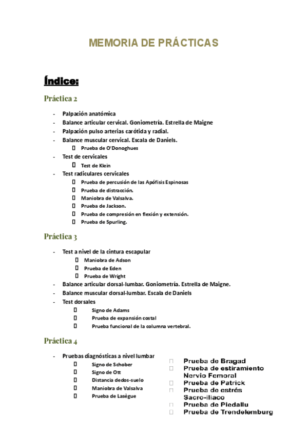 Miniatura del documento Memoria-de-Practicas.pdf