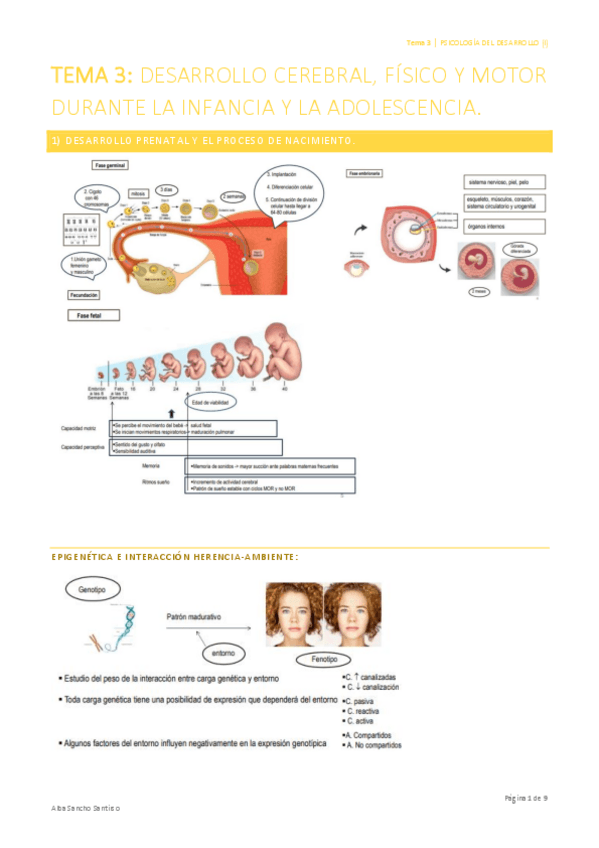 Miniatura del documento Psicologia-del-Desarrollo-I-Tema-3-Alba-Sancho.pdf