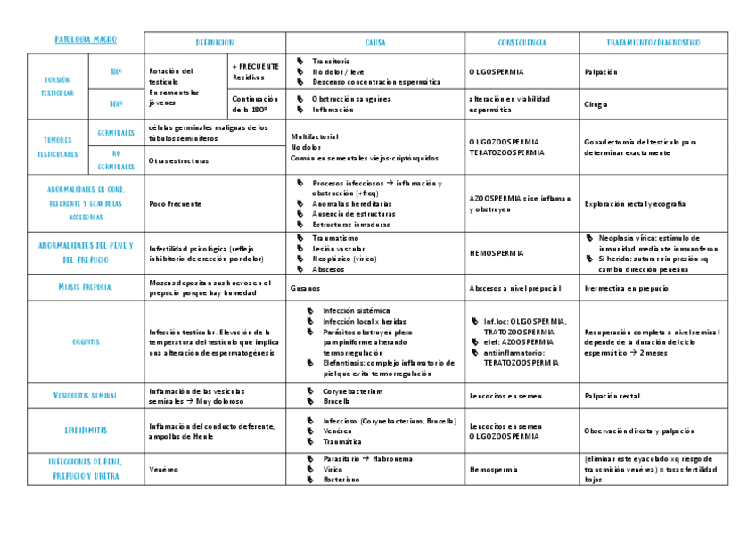 Miniatura del documento wuolah-PATOLOGIAS-DEL-MACHO.pdf