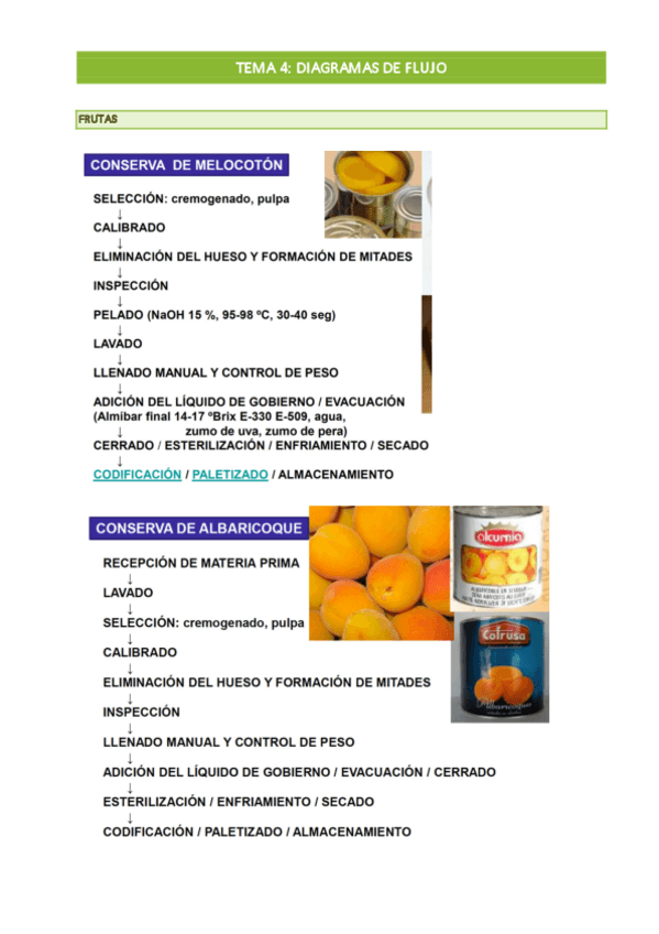 Miniatura del documento TEMA-4-DIAGRAMAS-DE-FLUJO.pdf