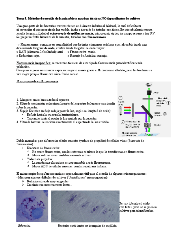 Miniatura del documento Tema-5.pdf