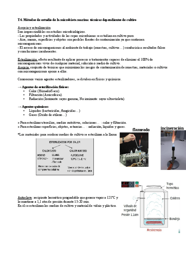 Miniatura del documento Tema-4.pdf
