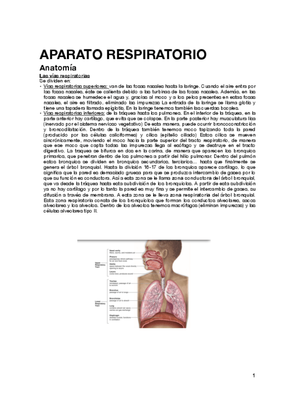 Miniatura del documento fisio-parte-2.pdf