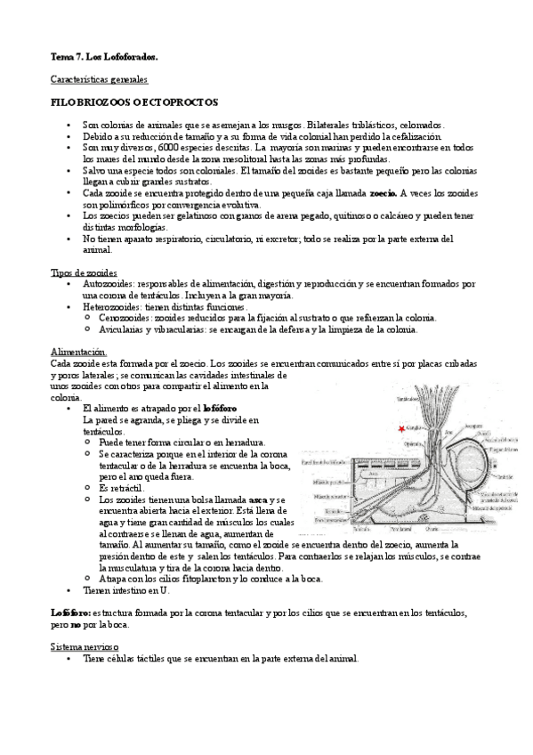 Miniatura del documento Tema-7.pdf