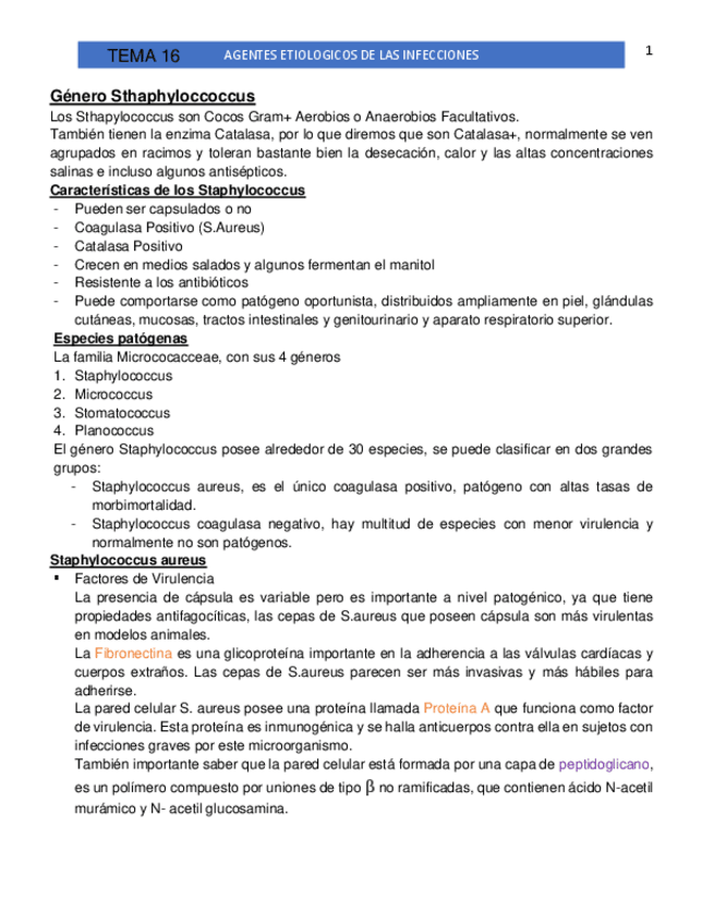 Miniatura del documento MICRO-T-16-22-y-T28.pdf