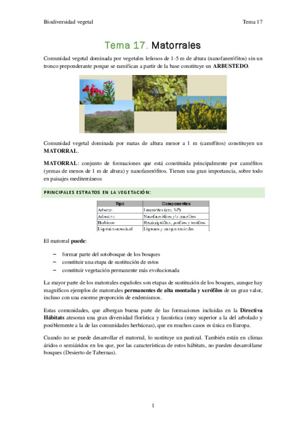 Miniatura del documento Biodiversidad-vegetal-Tema-17.pdf