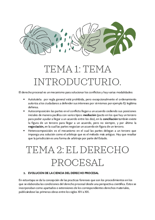 Miniatura del documento Derecho-procesal-tema-1-y-2-2.pdf